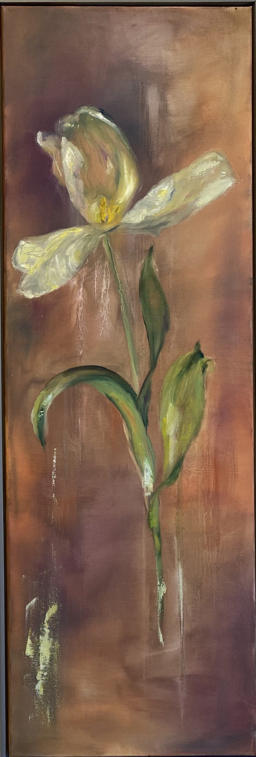 tulp