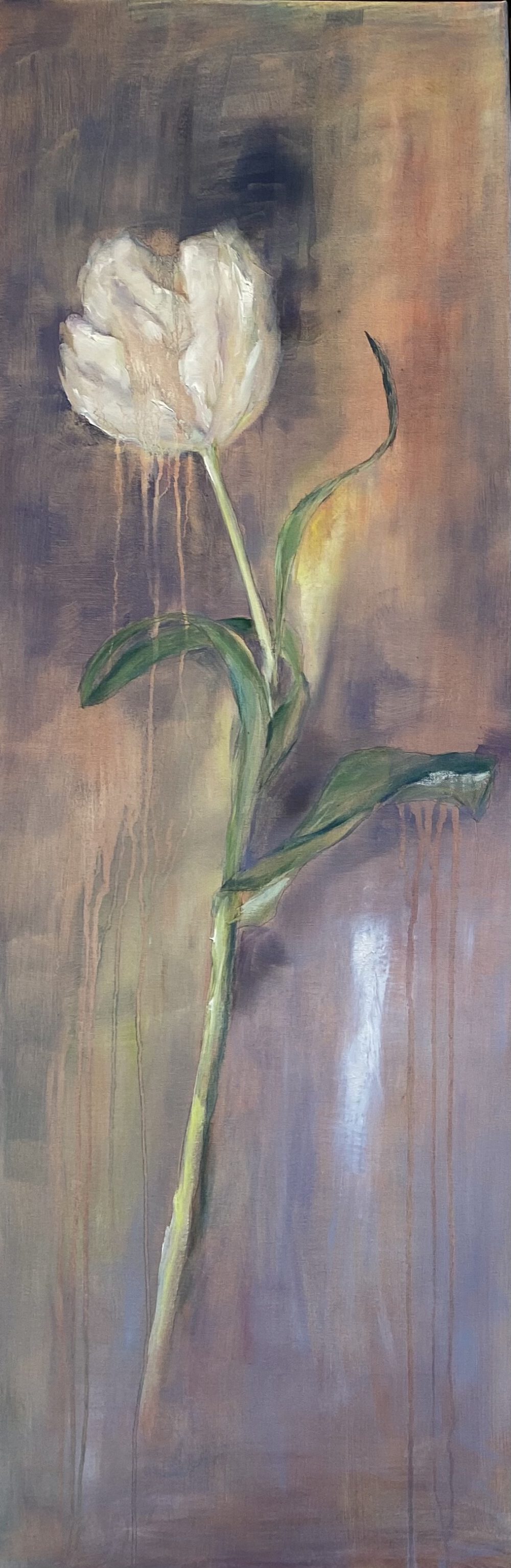 tulp