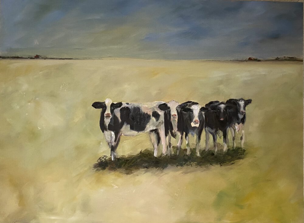 landschap koeien